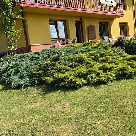 U Wolskiego