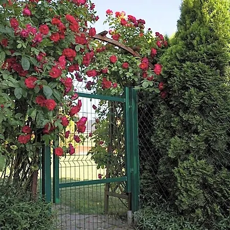 U Wolskiego Bed and breakfast Czorsztyn